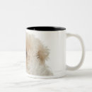 Search for studio mugs Square
