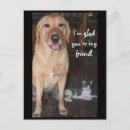 Search for glad postcards Funny