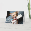 Search for chihuahua birthday cards Puppy