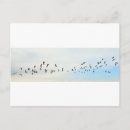 Search for bird flight postcards Flying