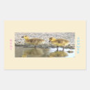 Search for event rectangle stickers Party