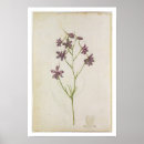 Recherche de moyne posters De