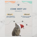 Search for adoptive flyers Pet adoption