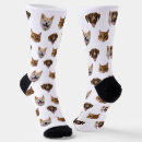 Recherche de chat chaussettes Photo personnalisée