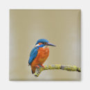 Recherche de pêcheur magnets Bleu
