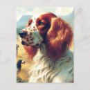 Search for setter postcards Retro
