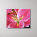 Search for stargazer lily decor Lilies