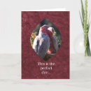 Search for galahs cards Parrots
