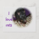 Search for rat lovers postcards Cute