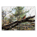 Search for bird singing cards Encouragement
