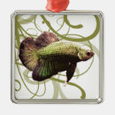 Search for betta fish ornaments Splendens
