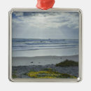 Search for spain ornaments Nature