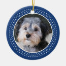 Search for dog frame ornaments Animal