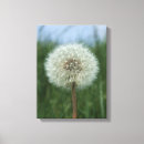 Search for dandelion blowing posters Weed