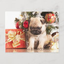 Search for badger christmas cards Animal