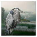Search for marsh tiles Bird