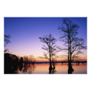 Recherche de faune posters Silhouette