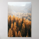 Search for fall pictures posters Forest