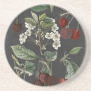 Recherche de verger bar Fruits
