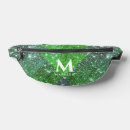 Search for glitter fanny packs Modern
