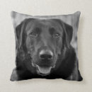 Search for black labrador pillows Animals