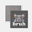 Search for cute rats magnets Pet rat