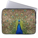 Search for tail feather electronics Feathers