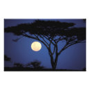 Search for full moon painting posters Tree