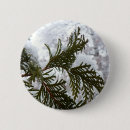 Search for branches buttons Green