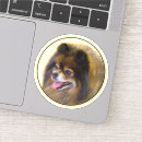 Recherche de spitz autocollants Dog