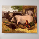 Recherche de basse cour posters Grange