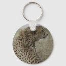 Search for cheetah keychains Cat