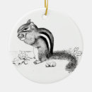 Search for chipmunk ornaments Wildlife