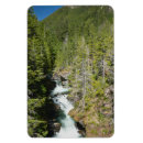 Search for pacific northwest magnets River