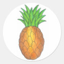Search for pineapple stickers Island