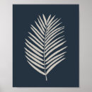 Recherche de palmier posters Tropical