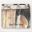 Search for animal mousepads Photography
