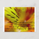 Search for someone postcards Flower