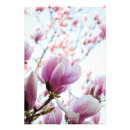 Recherche de magnolia posters Fermer