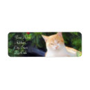 Search for return address posters Photography