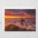 Search for san francisco horizontal cards landscape