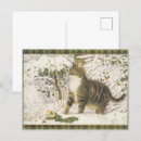 Recherche de christmas cat cartes postales Amoureux des chats