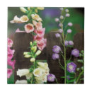 Search for foxgloves tiles Garden
