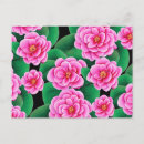 Recherche de camelias cartes postales Fleurs roses