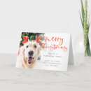 Search for animal lover christmas cards Dog