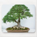 Search for bonsai tree mousepads Plant