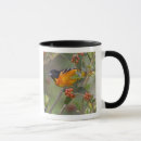 Search for oriole mugs Animal