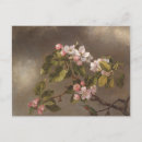 Recherche de pommier cartes postales Printemps