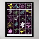 Search for neon flower posters Black