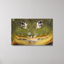 Search for african bullfrog Nature